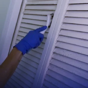 V03